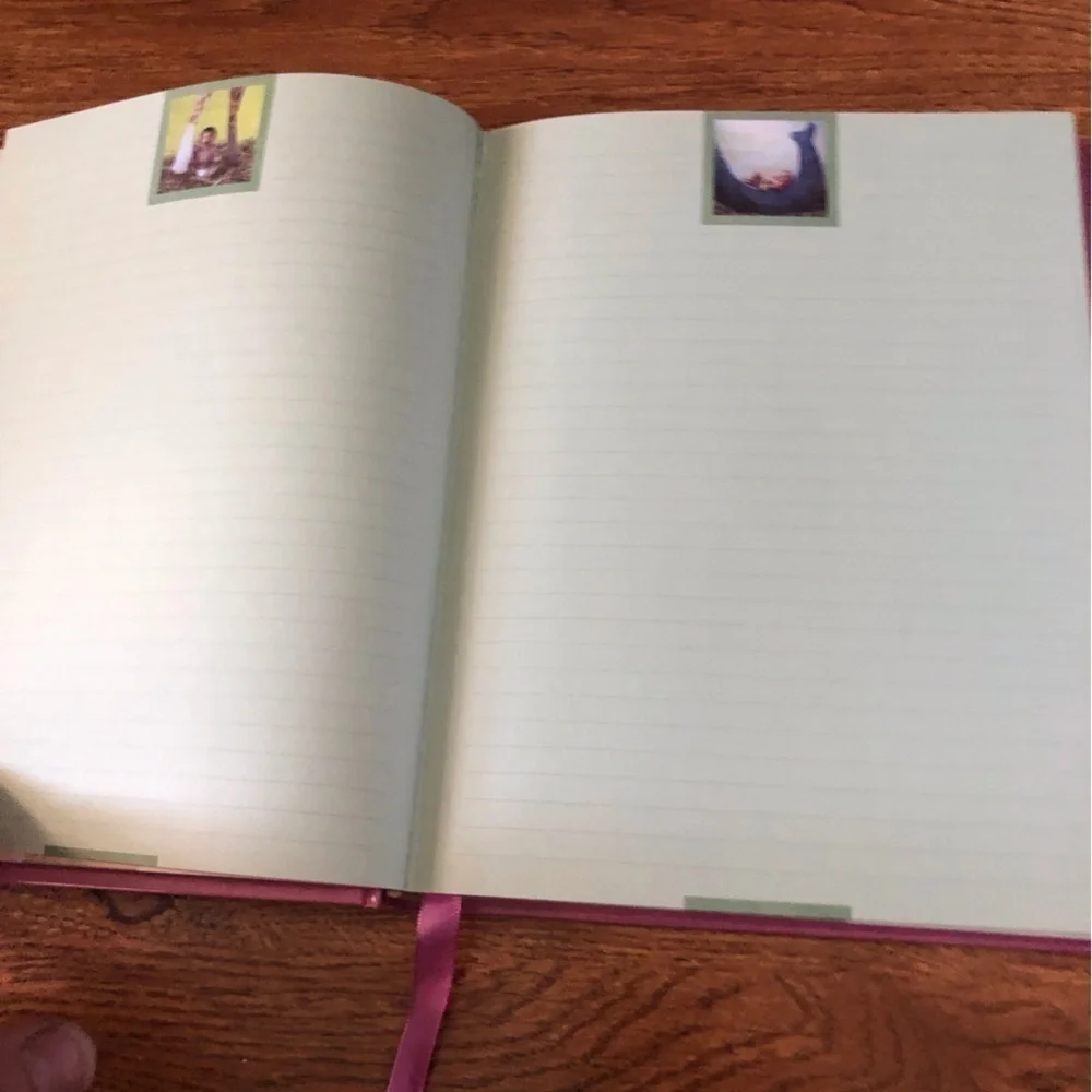 Vintage pink Anne baby large journal